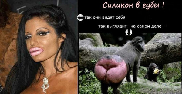 Сравнение губ с обезьяной Сравнение губ с обезьяной