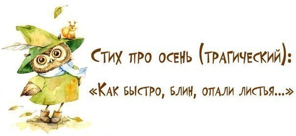 Прикол про осень цитаты Прикол про осень цитаты