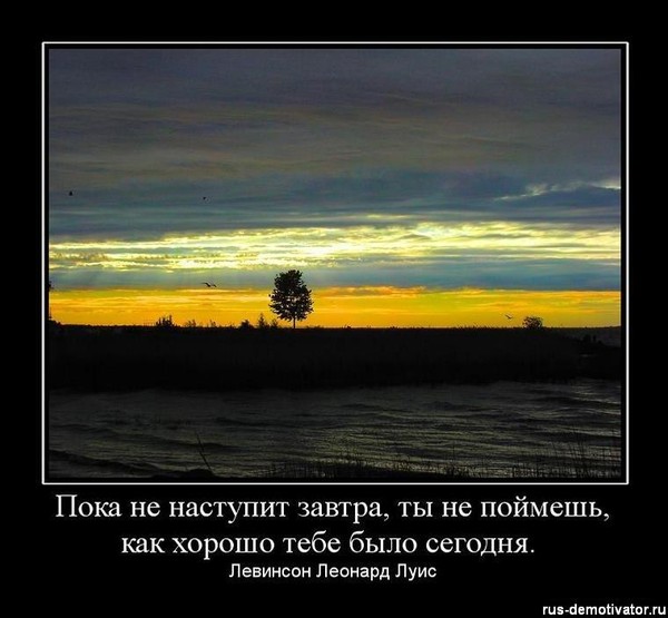 Все будет еще лучше чем завтра цитата Все будет еще лучше чем завтра цитата