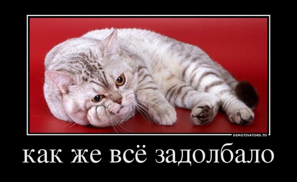 Статусы про то что все задолбало Статусы про то что все задолбало
