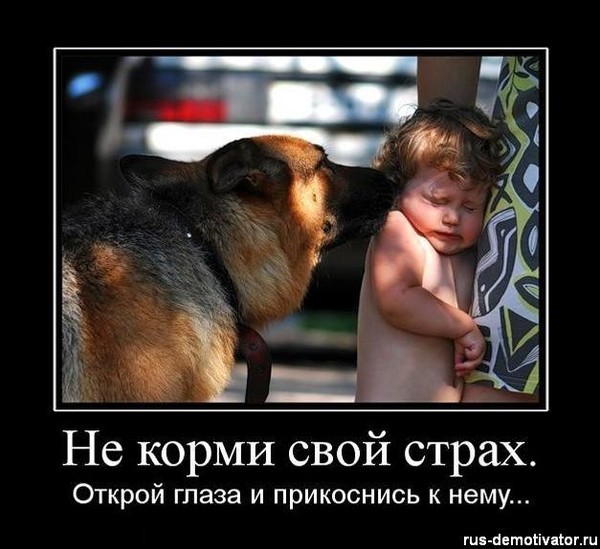 А ты не бойся меня малыш видео А ты не бойся меня малыш видео