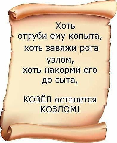 Статусы для мужиков козлов прикольные Статусы для мужиков козлов прикольные
