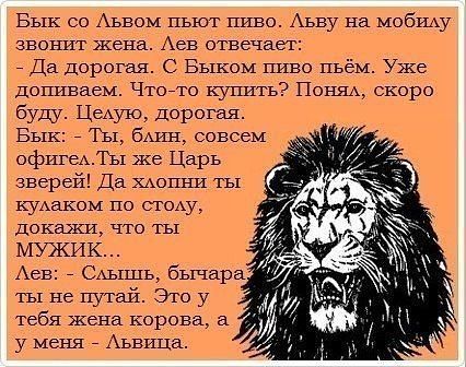 Стих человек лев Стих человек лев