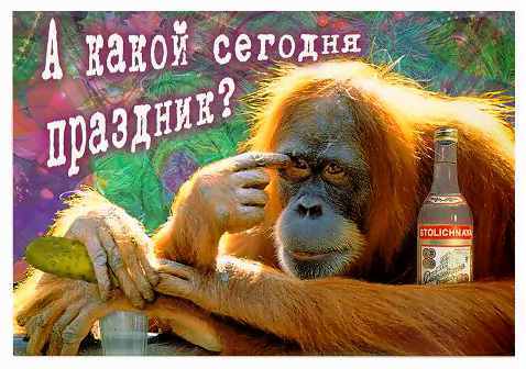 Поздравление с праздником с приколом Поздравление с праздником с приколом
