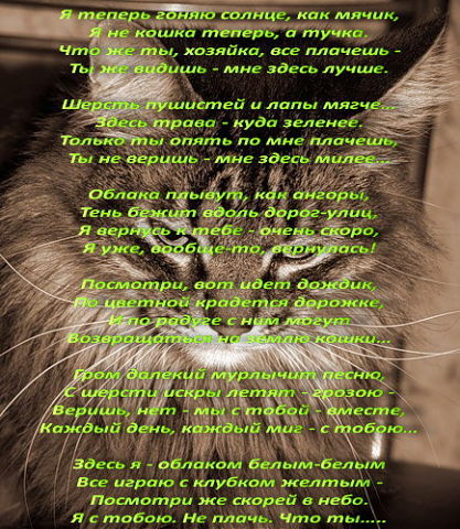 Стих человеку который уже умер Стих человеку который уже умер