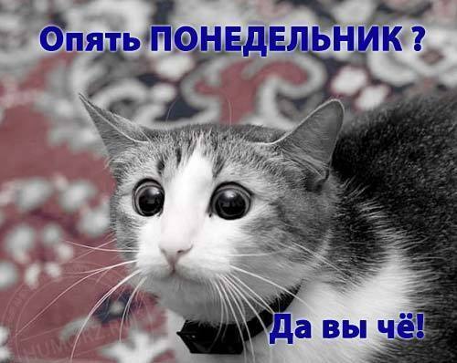 Опять понедельник в открытках 152 Опять понедельник в открытках 83