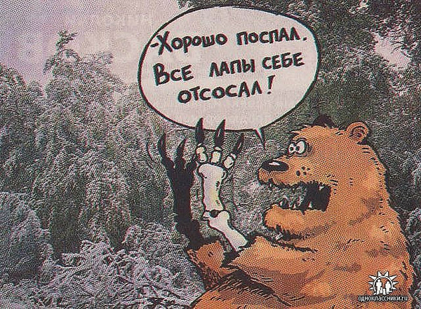 Два медведя в одной берлоге анекдот Два медведя в одной берлоге анекдот