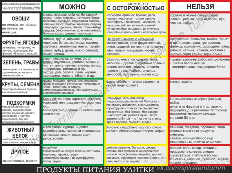 Кому можно давать в руки свой паспорт Кому можно давать в руки свой паспорт