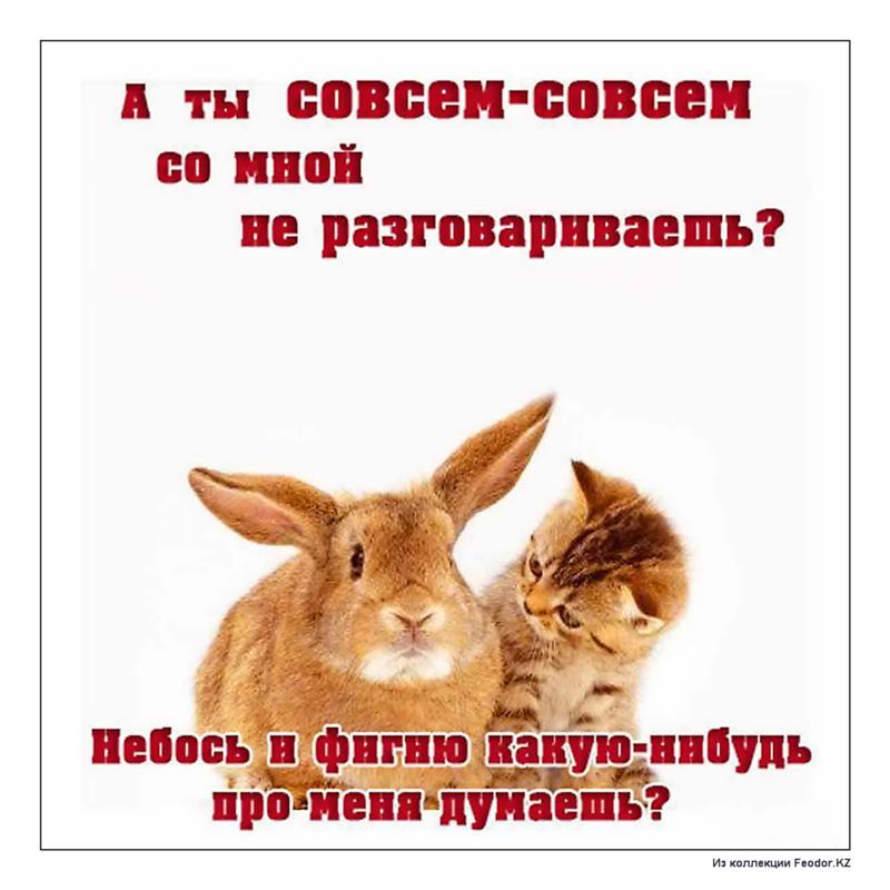 Прикольная открытка я обиделась Прикольная открытка я обиделась