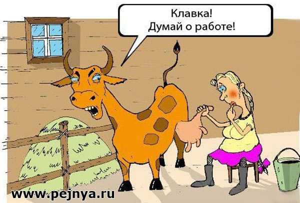 Все что связано с юмором Все что связано с юмором