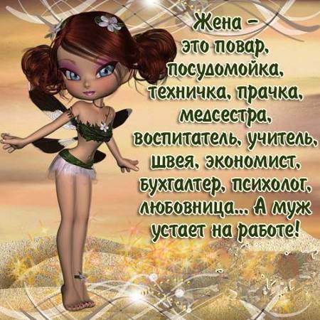 Поиск жены стих Поиск жены стих