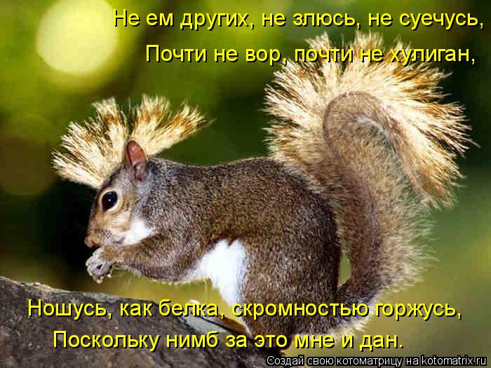 Открытка я не злюсь 409
