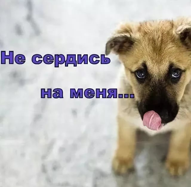 Я злюсь на тебя открытки с Я злюсь на тебя открытки с