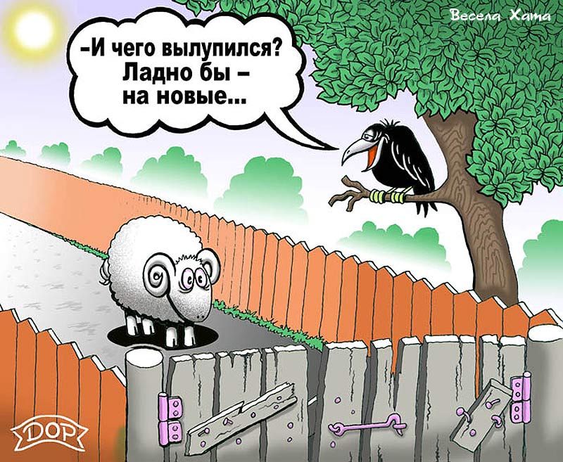 Анекдоты про овечек Анекдоты про овечек