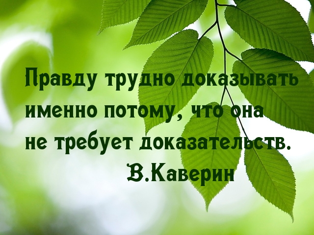 Статусы о не правоте Статусы о не правоте