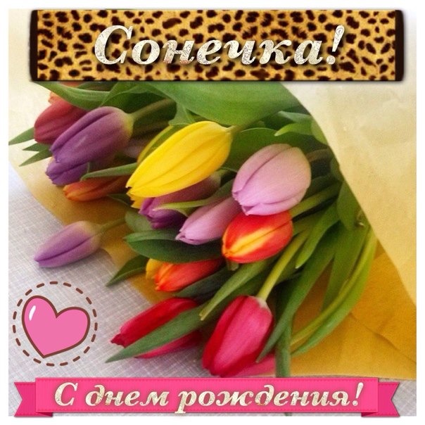 Поздравление соне с днём рождения Поздравление соне с днём рождения
