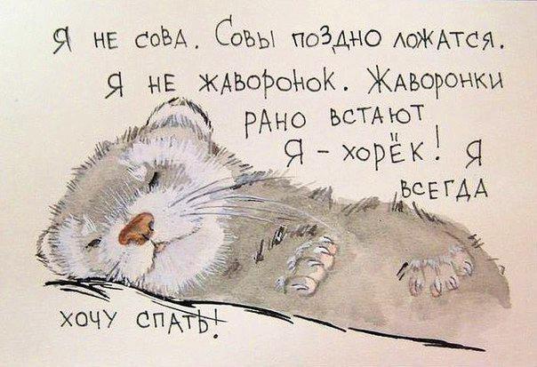 Открытка спать не хочу 15 Открытка спать не хочу 92
