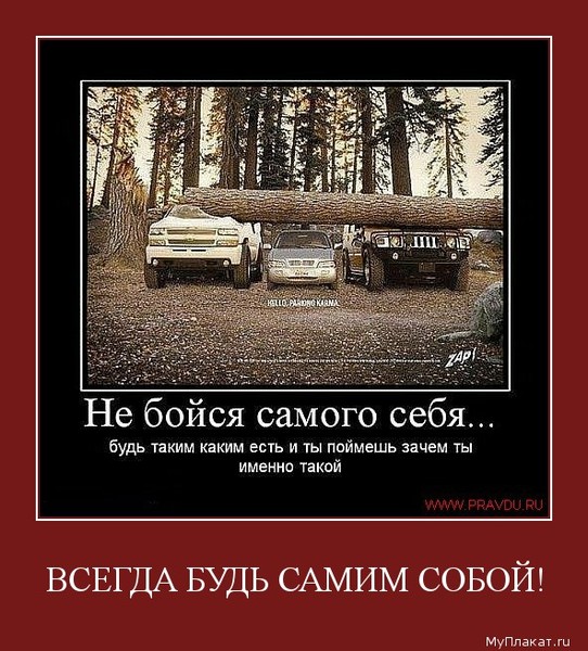 Скорпион в Отношениях Прикольные про машины статусы