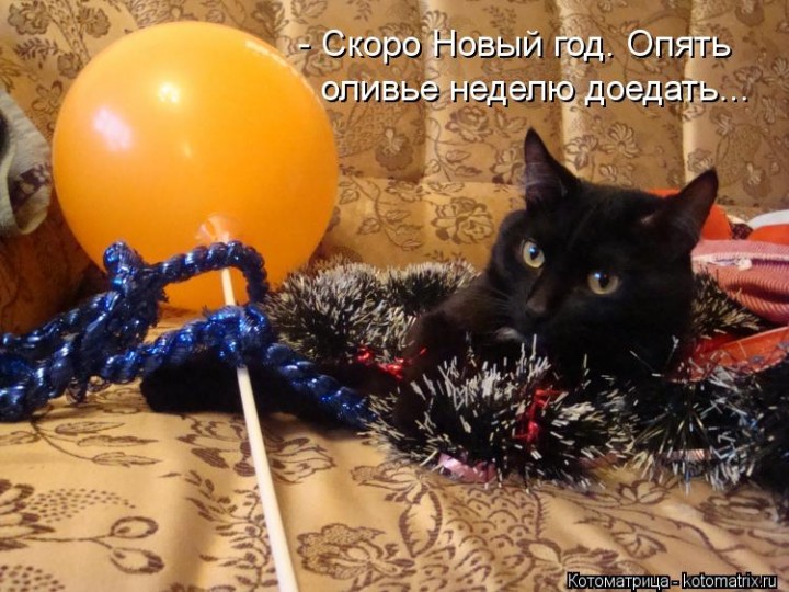 Новым год к нам мчится скоро все случится Новым год к нам мчится скоро все случится