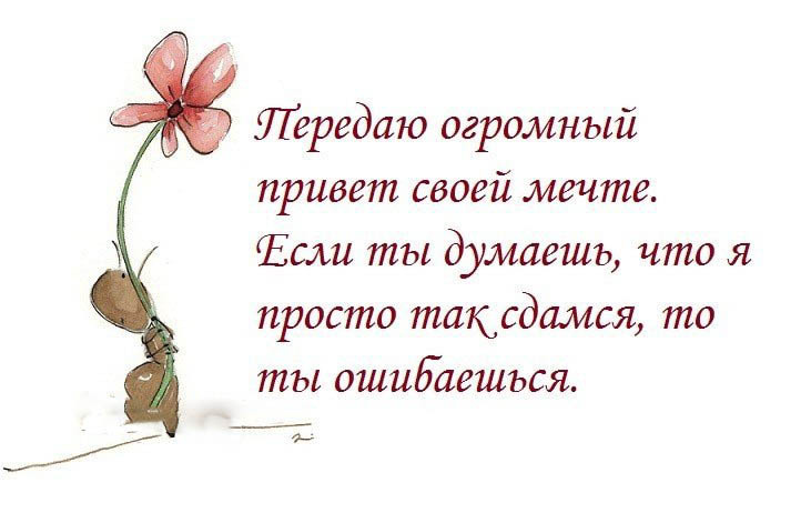 Передать привет стих Передать привет стих