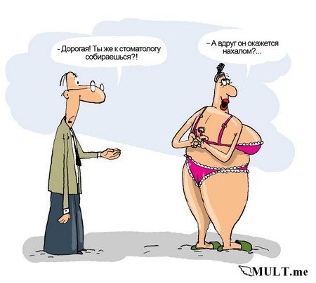 Вязание спицами, вязание крючком, вышивка В Петербурге выбирают лучшую служебную собаку Северо