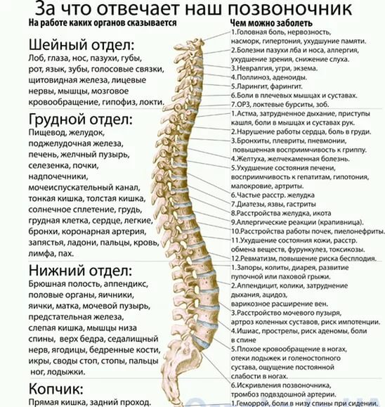 При каких болезнях боль в спине При каких болезнях боль в спине