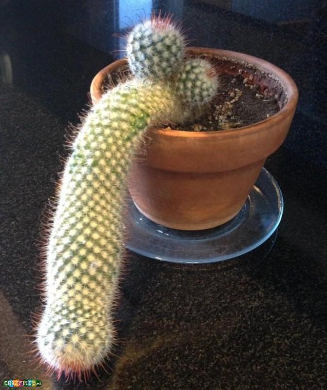 Как Называется Самотык