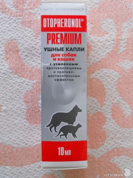Как проводить лечение глазного 84 Как проводить лечение глазного 69