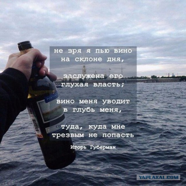 Не моя вина что я хочу вина стих Не моя вина что я хочу вина стих