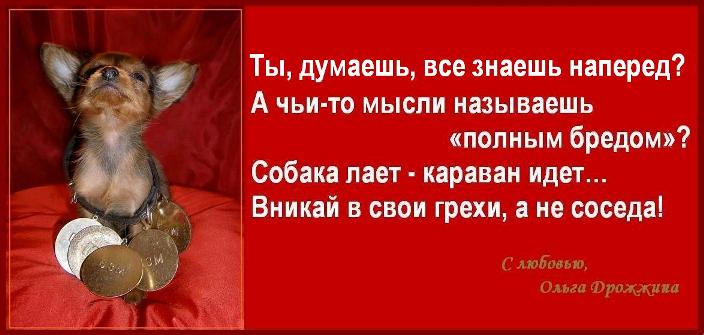 Пословица о собаке и косте Пословица о собаке и косте