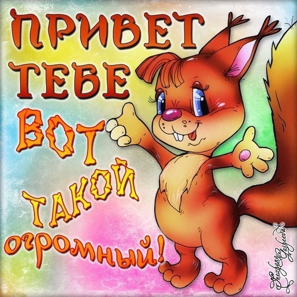 Привет тебе привет открытка Привет тебе привет открытка