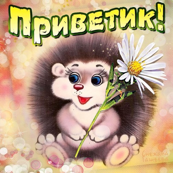 Открытки для нее привет Открытки для нее привет