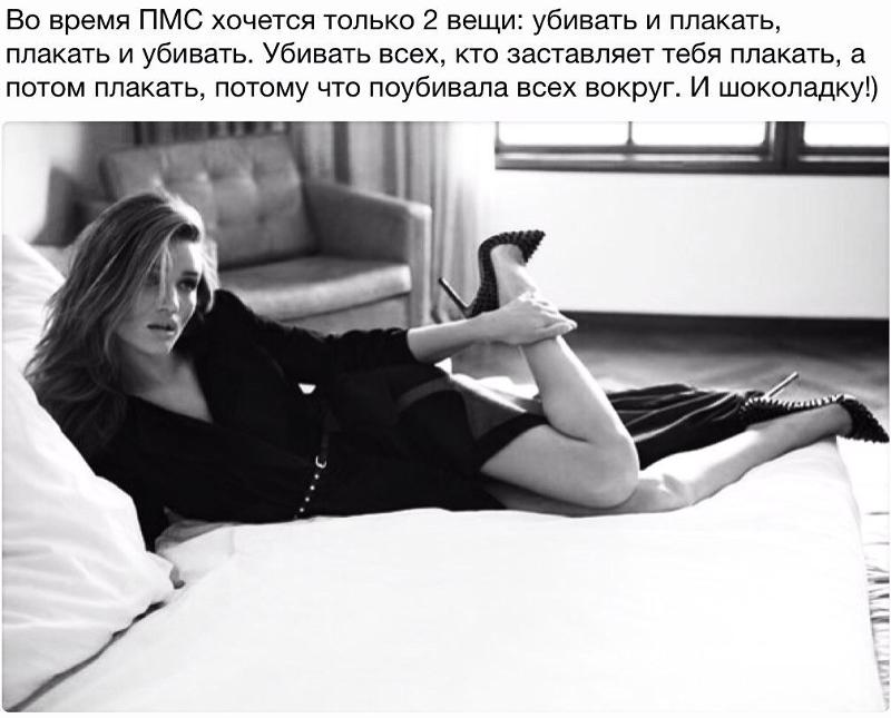 Прыщи у собаки на морде акне? Болезни и уход за домашними животными Прически для кудрявых волос - t