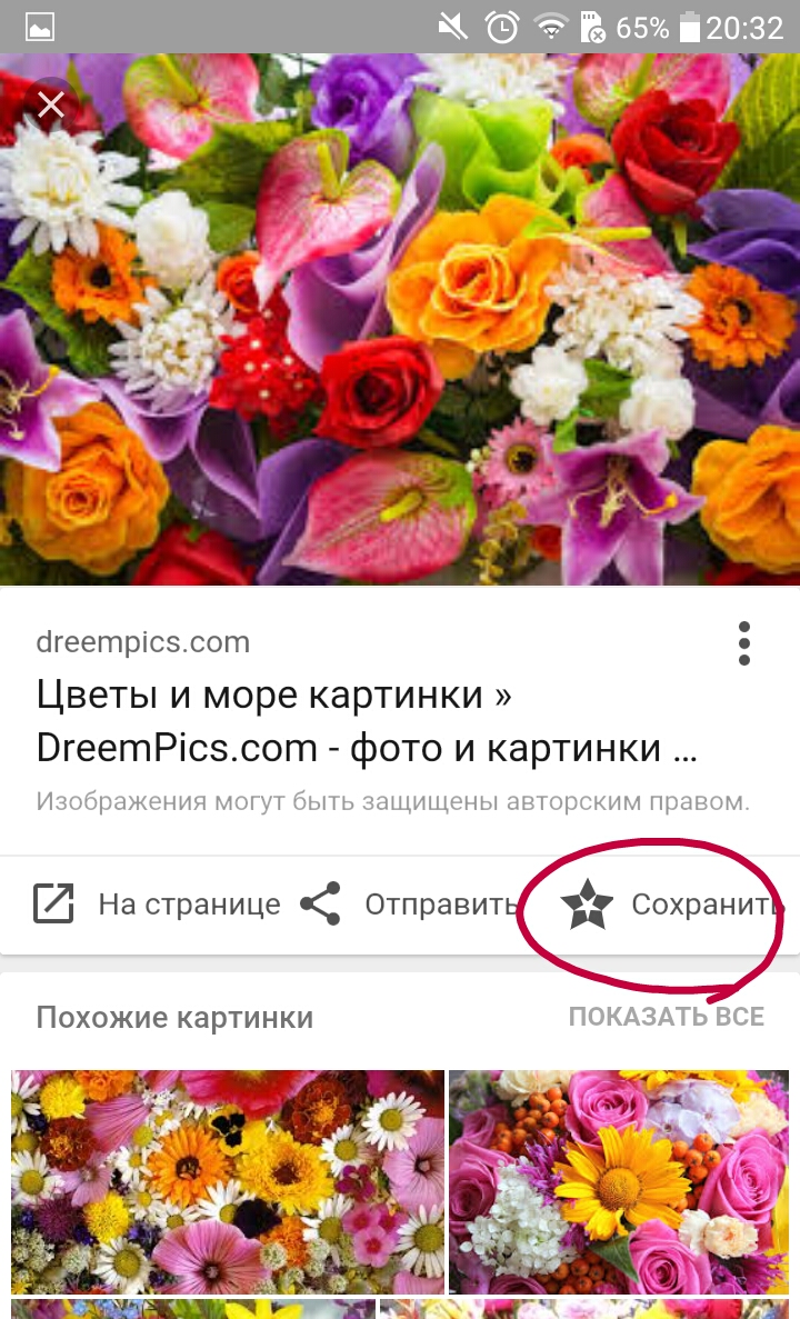 Окей google что это за цветок Окей google что это за цветок