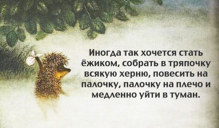 Анекдот станьте ёжиками Анекдот станьте ёжиками