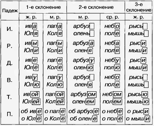 Ребёнок какого склонения Ребёнок какого склонения