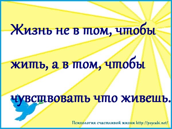 Цитаты о жизни психологические Цитаты о жизни психологические