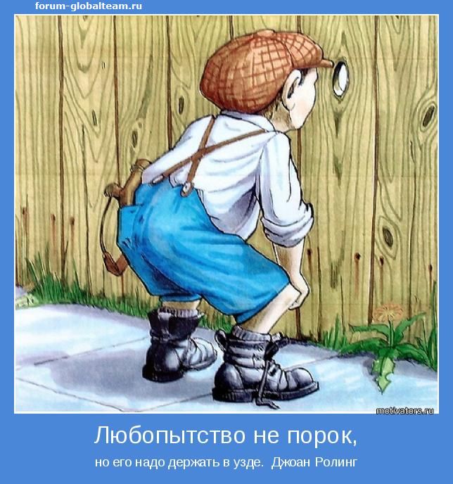Пословицы про любопытных Пословицы про любопытных
