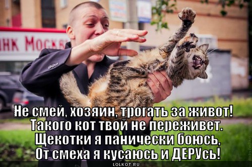 Как сделать чтобы не боятся щекотки Как сделать чтобы не боятся щекотки