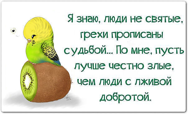 Как происходит очищение души Когда начинать голодать? Как не ошибиться при выборе раскраски по номерам