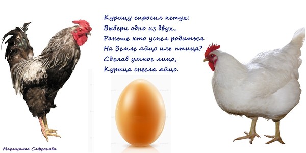 Курочка ряба поздравление на юбилей Курочка ряба поздравление на юбилей