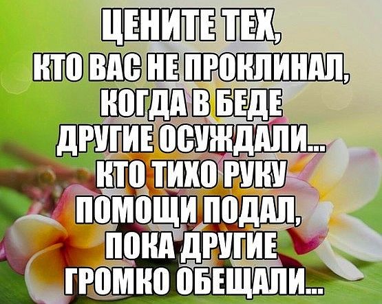 Афоризм я ценю то кто я с тобой Афоризм я ценю то кто я с тобой