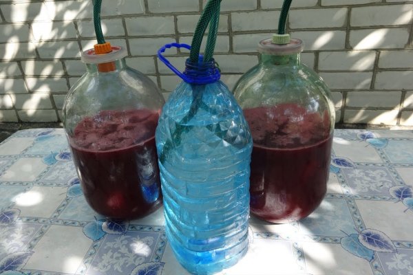 Вино из компота в домашних условиях простой рецепт