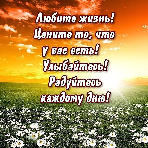 Открытку я люблю тебя жизнь Открытку я люблю тебя жизнь