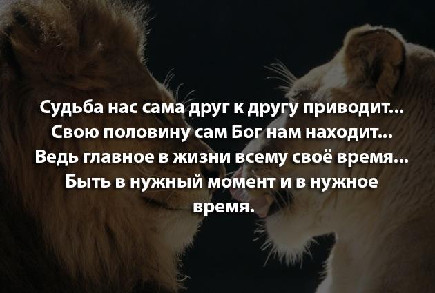 Давайте лучше ходить друг к другу в гости чем Давайте лучше ходить друг к другу в