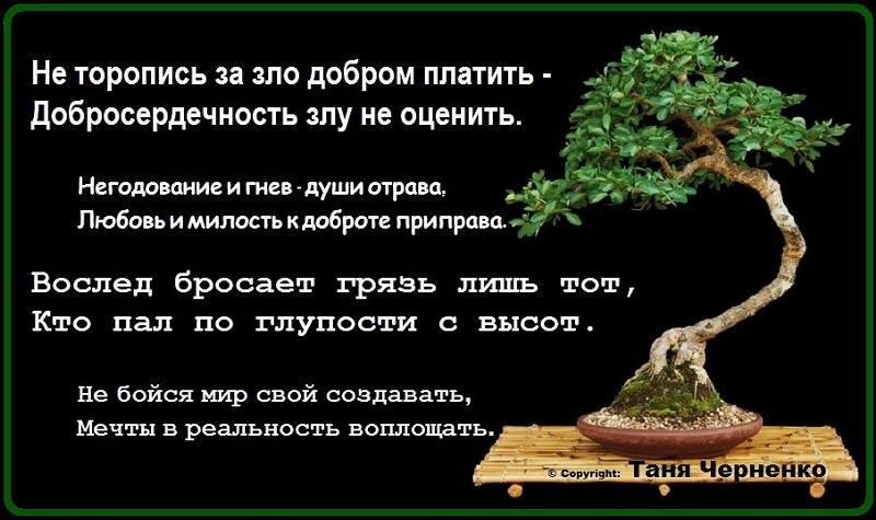Стих почему я должна выиграть Стих почему я должна выиграть