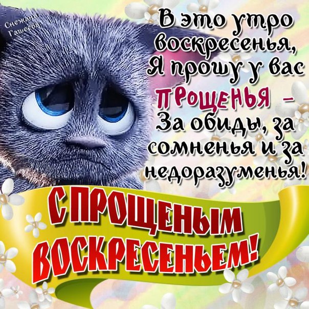 Извиняемся в прозе Извиняемся в прозе
