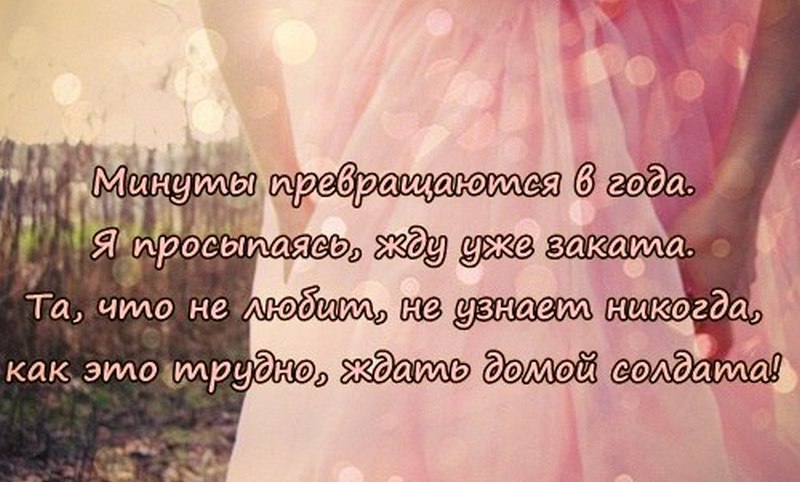 Цитаты любите и ждите Цитаты любите и ждите