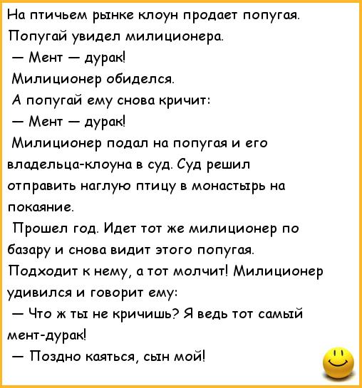 Анекдоты попугая не сын Анекдоты попугая не сын