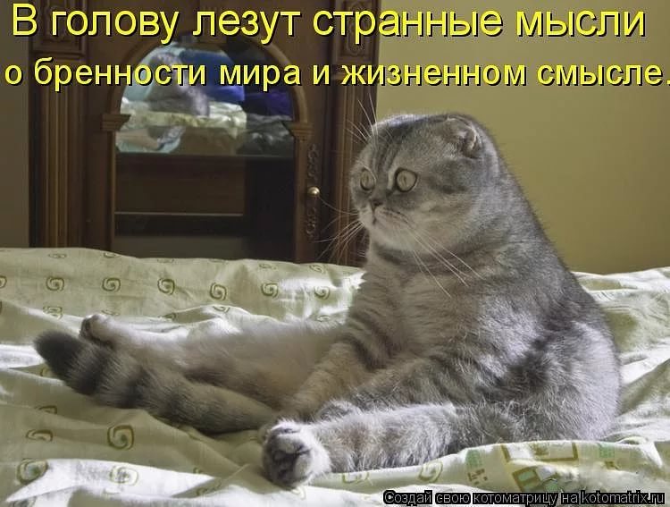 Статусы смотреть ты спишь Статусы смотреть ты спишь